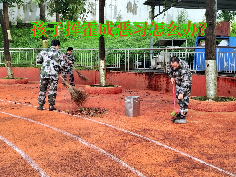 軍事夏令營,暑期夏令營