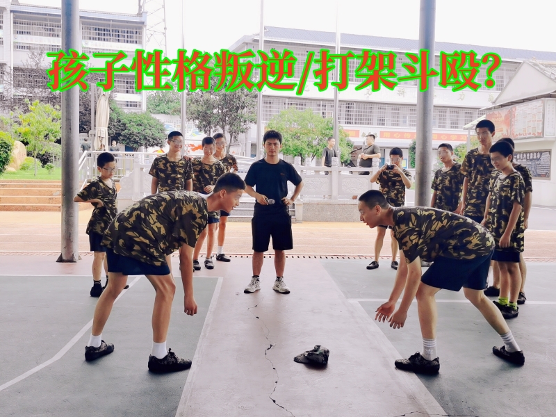 封閉式軍事化學校,軍事訓練學校