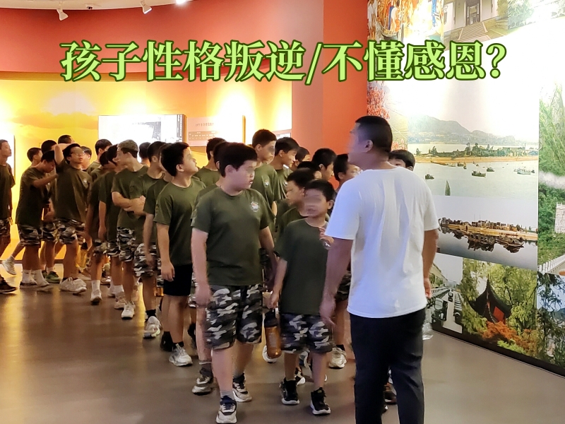 軍事訓練學校,青少年教育學校