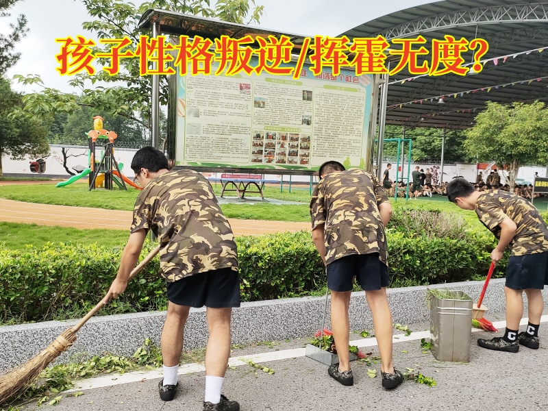 封閉式軍事化學校,軍事訓練學校