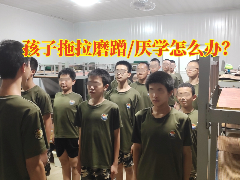 封閉式軍事化學校,軍事訓練學校