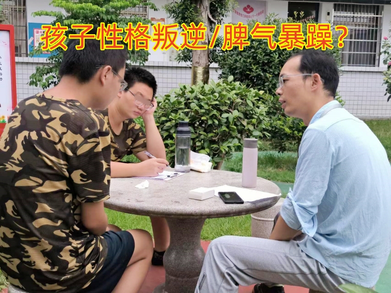 封閉式軍事化學校,軍事訓練學校