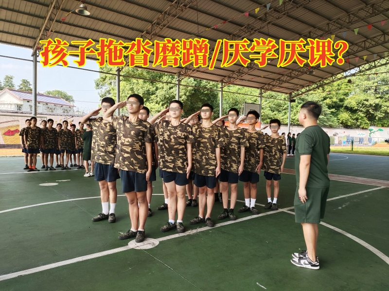 封閉式軍事化學校,軍事訓練學校