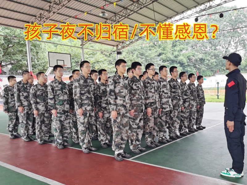 封閉式軍事化學校,軍事訓練學校