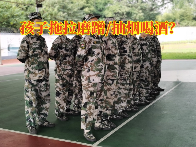 封閉式軍事化學校,軍事訓練學校