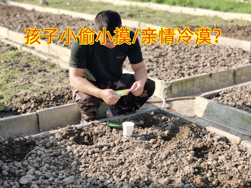 叛逆孩子學校,叛逆教育學校