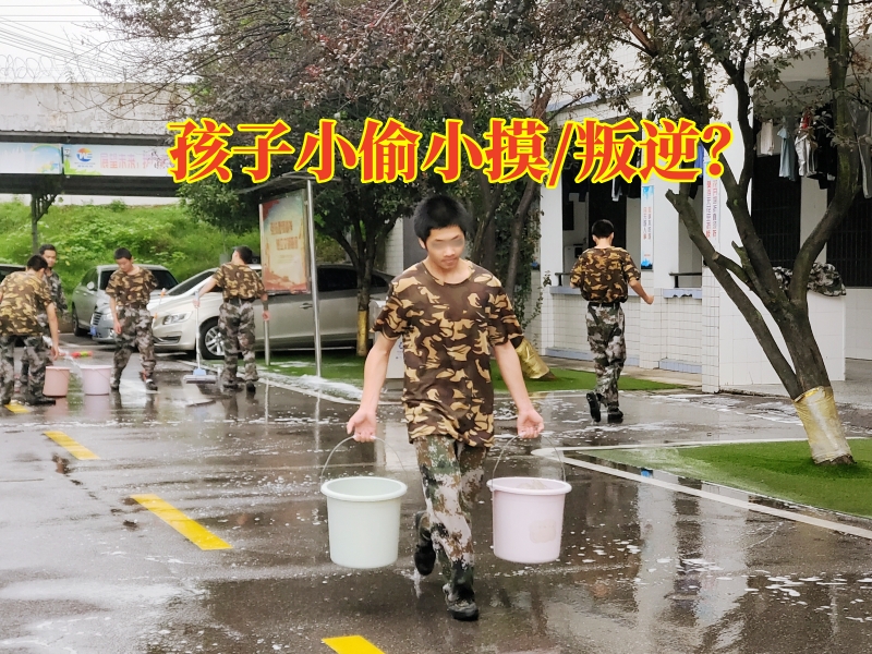 封閉式軍事化學校,軍事訓練學校