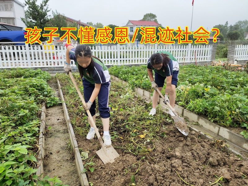 感恩教育學校,青少年教育學校