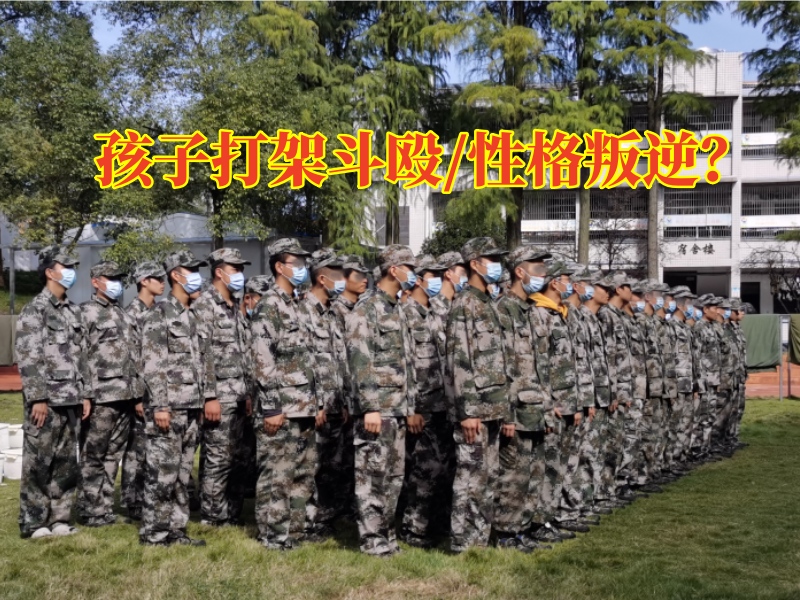 叛逆青少年軍事學校對孩子打架斗毆的建議，叛逆青少年軍事學校