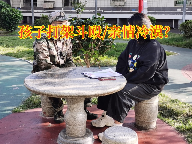 特訓教育學校：孩子們為什么喜歡打架？