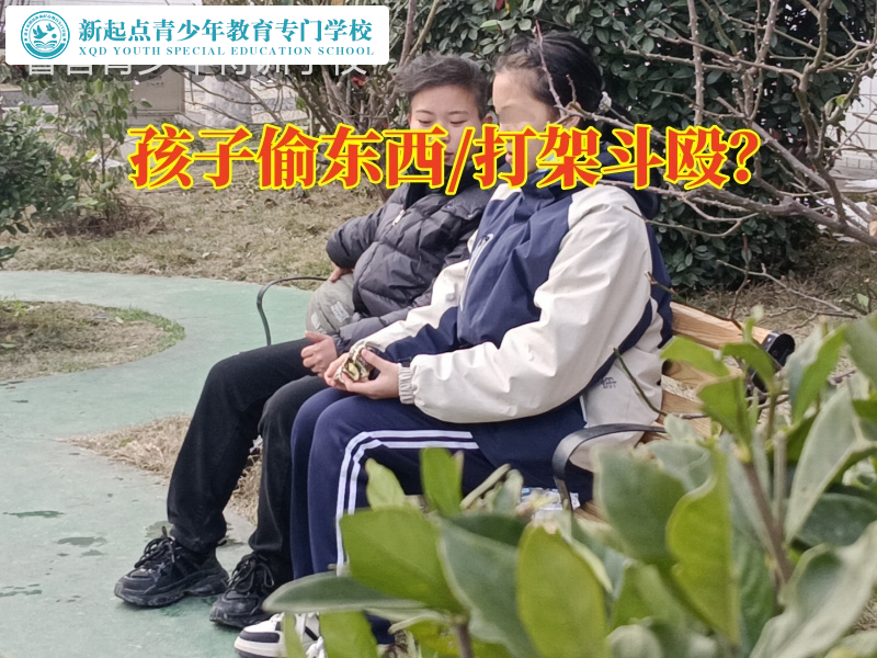 小全封閉特訓學校專治孩子老偷東西問題偷小摸7.jpg