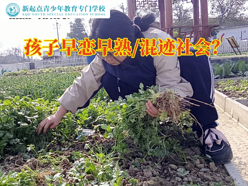 邵陽孩子管教學校教您這樣處理孩子網戀問題