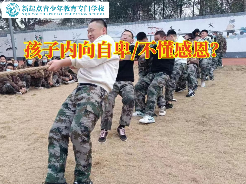 孩子軍事化管理封閉式學校教家長教育自卑孩子