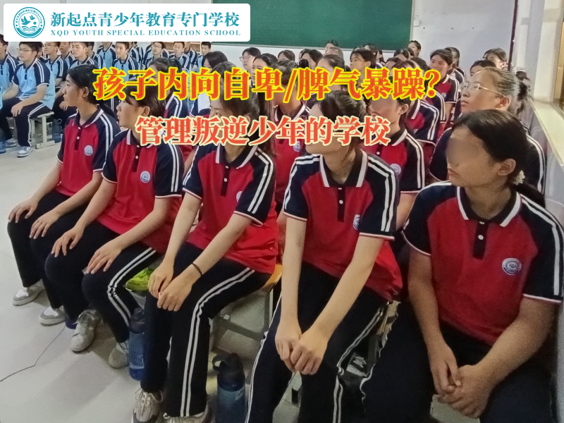 管理叛逆少年的學(xué)校幫助孩子克服自卑心理