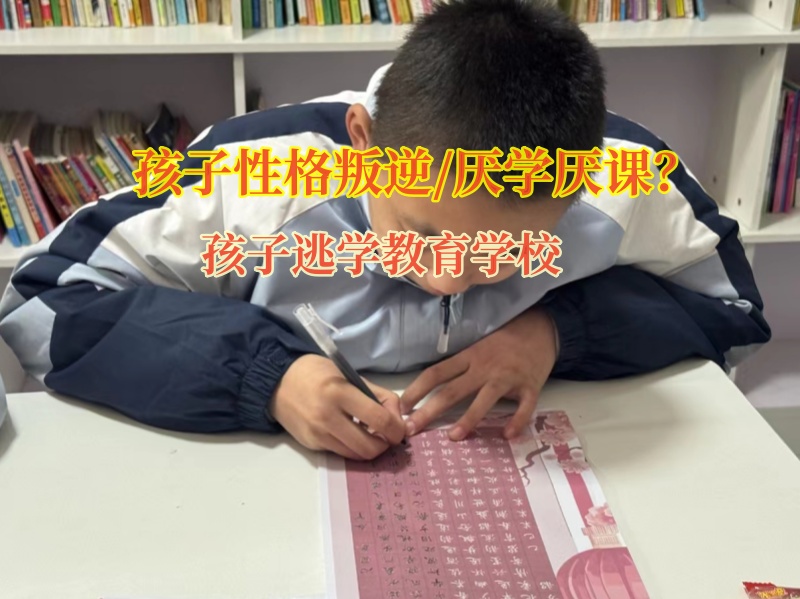 孩子逃學教育學校教育不上學的青少年